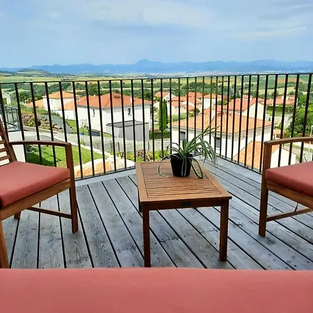 Villa Elegante Neuve D'architecte Dallet